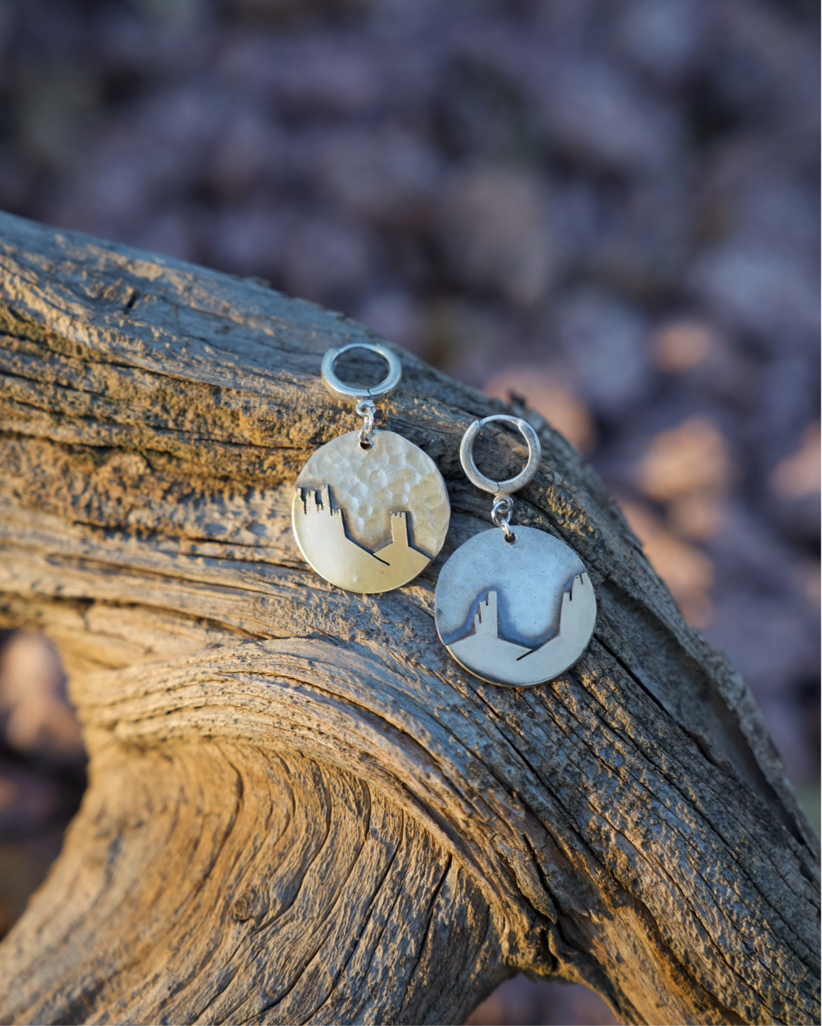 Desertscape Earrings
