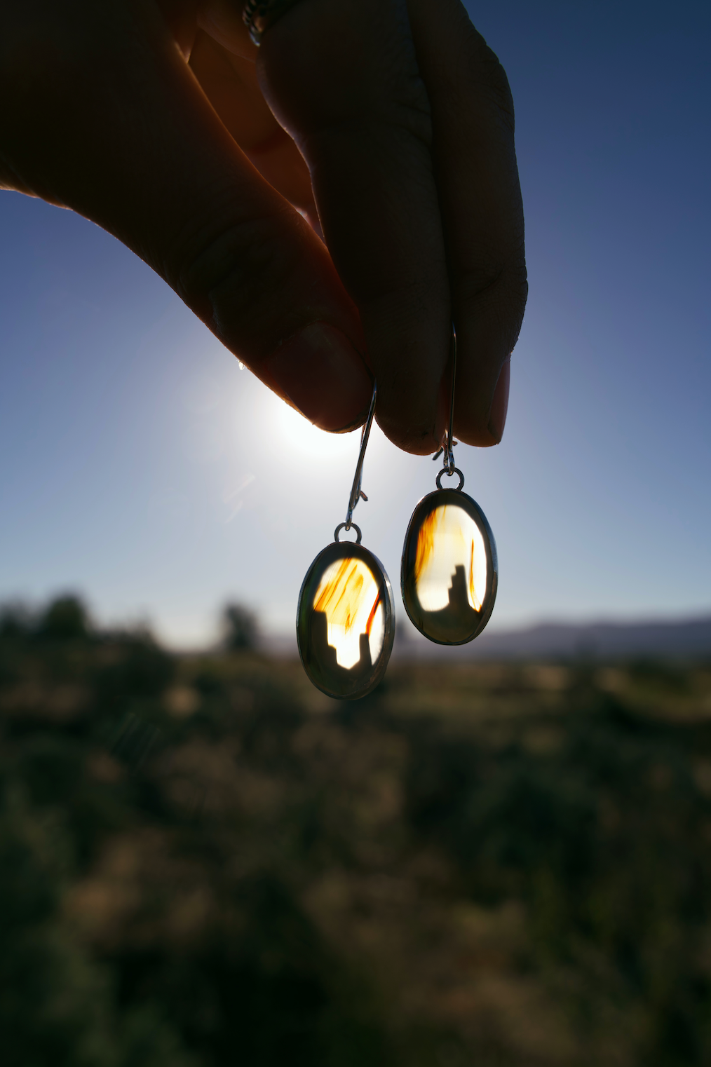 Double-Sided Mt. Agate Desertscape Earrings