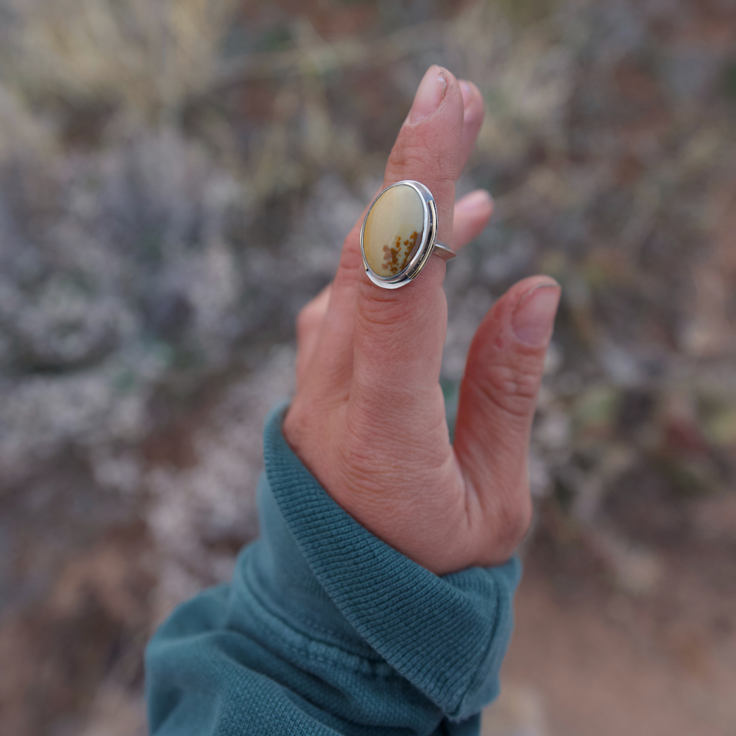 Owyhee Jasper Ring | Size 7