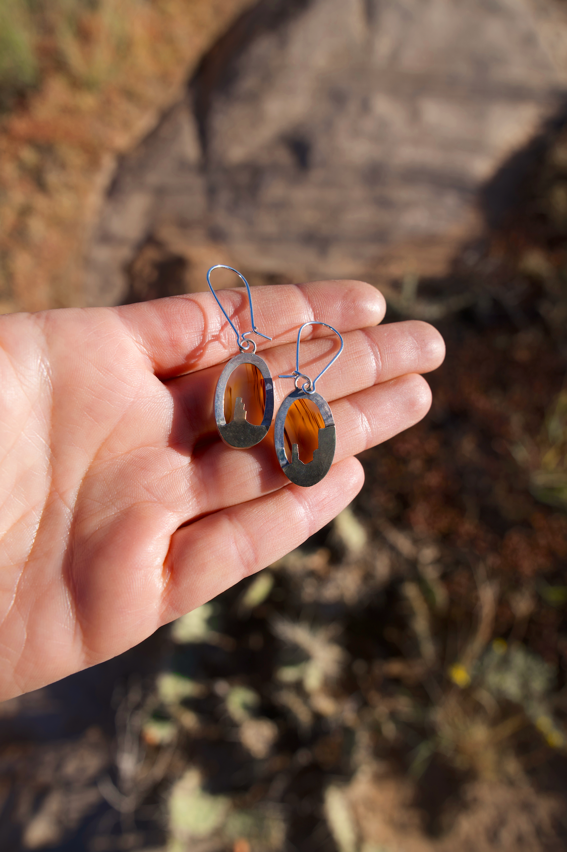 Double-Sided Mt. Agate Desertscape Earrings