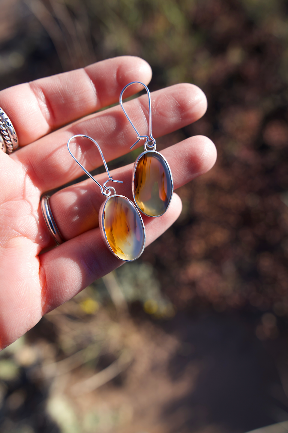 Double-Sided Mt. Agate Desertscape Earrings
